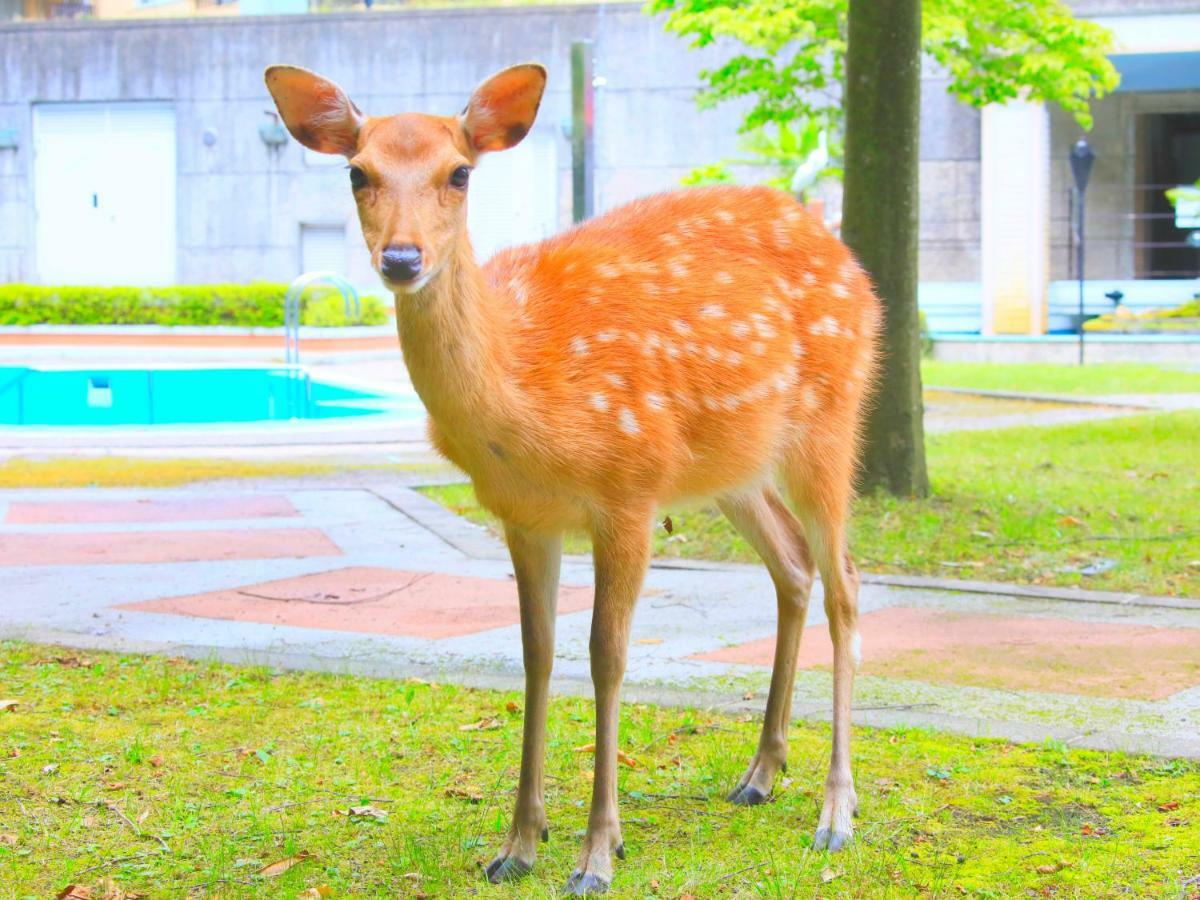 Reyzenit Kinosaki Suite Villa Toyooka  Exteriér fotografie
